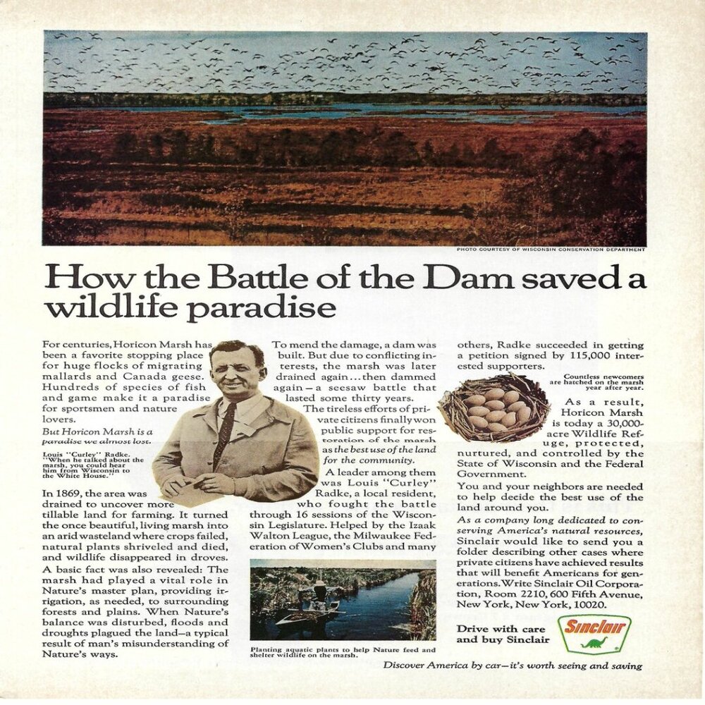 1967 Sinclair Battle Of The Dam Wildlife Vintage Magazine Print Ad/Poster